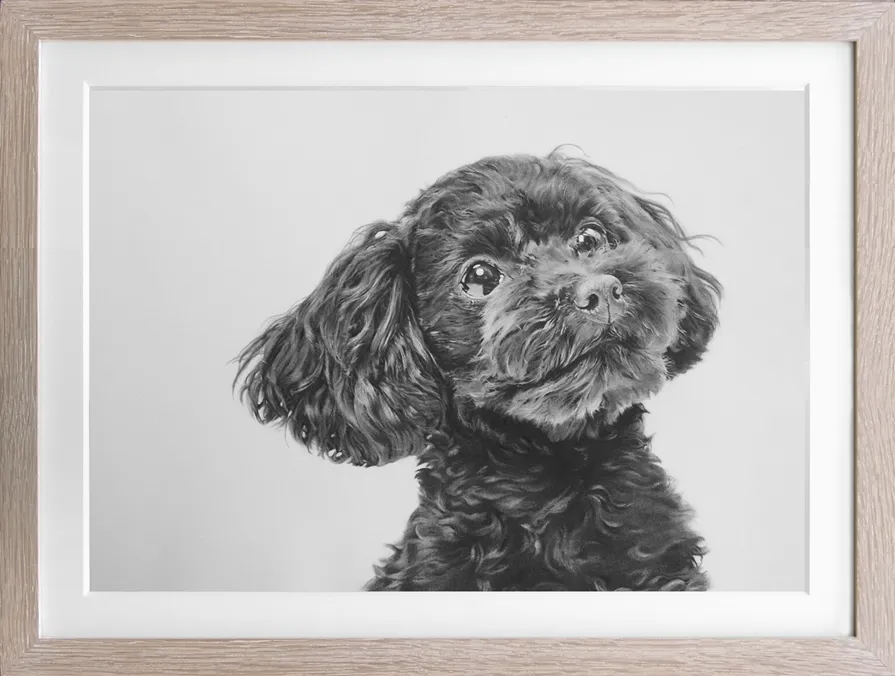 鉛筆画1　肖像画制作(作品)例2